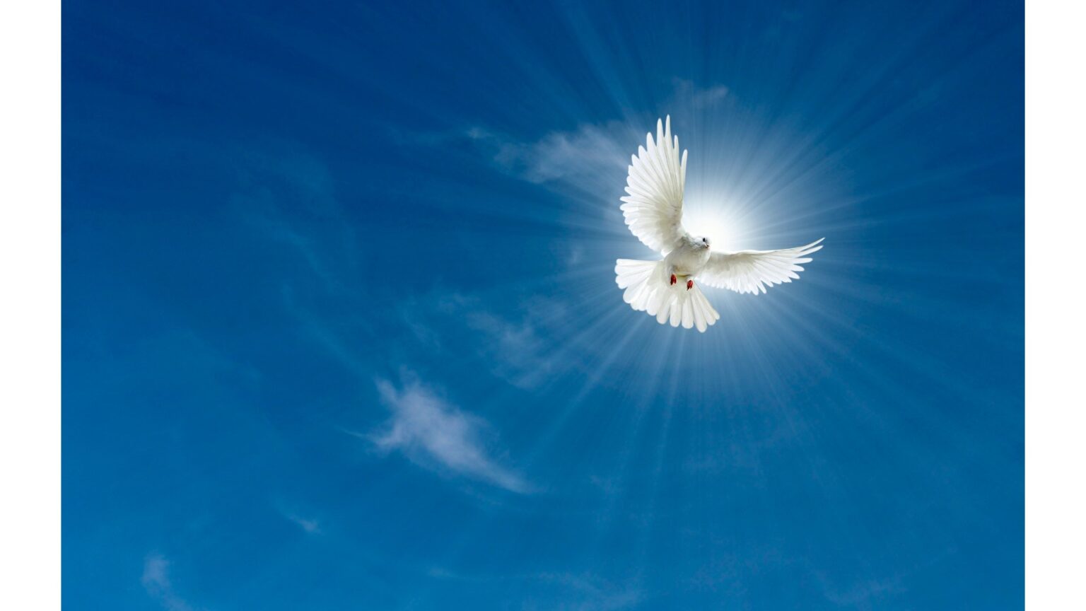 Message of Pope Francis for World Day of Peace 2025